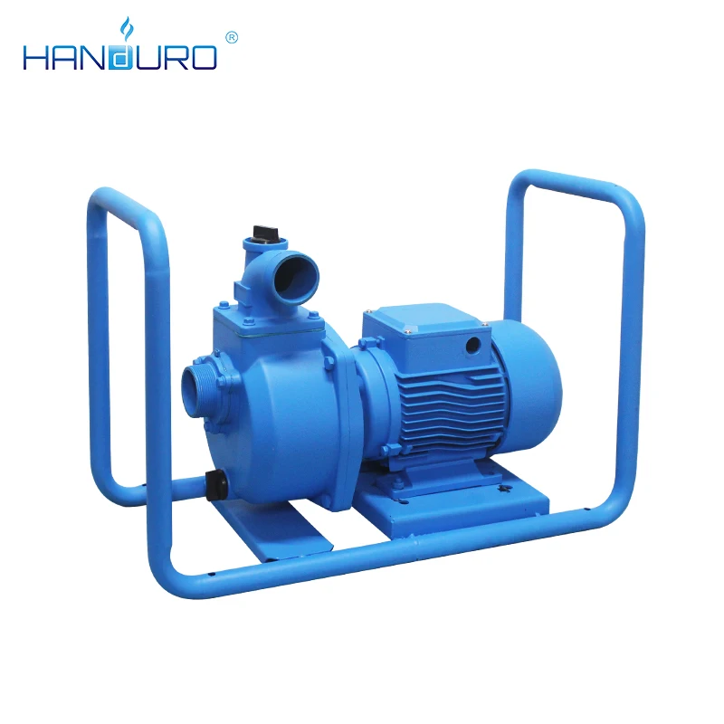 2馬力 28メートル揚程 110ボルト 1500ワット 表面 - Solar Water Pump のレビューと価格